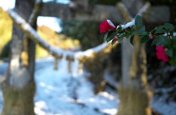 at SAGA by α7R5 & A28_45F1.8