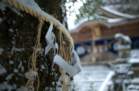 at FUKUOKA by α7R5 &A28-45F1.8