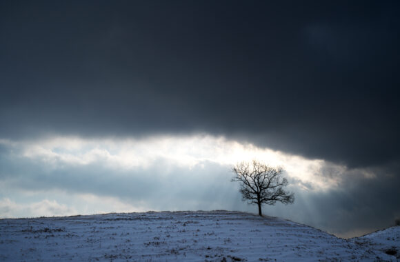 at KUMAMOTO by α7R5 & A28-45F1.8