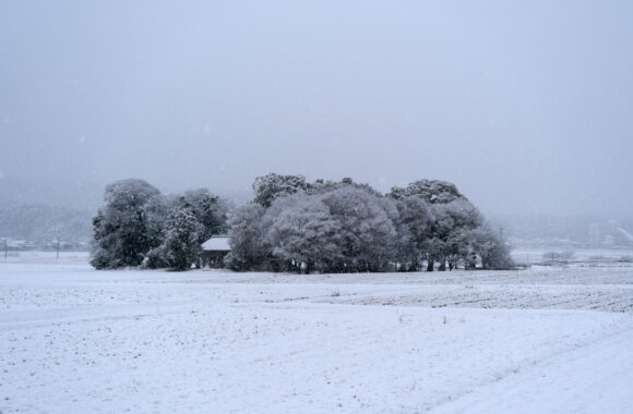 at FUKUOKA by X-T5 A17-40F1.8