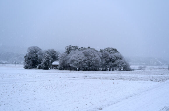 at FUKUOKA by X-T5 A17-40F1.8