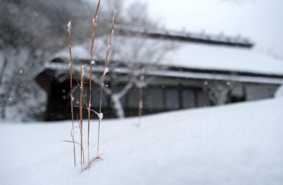 at FUKUOKA by X-T5 A17-40F1.8