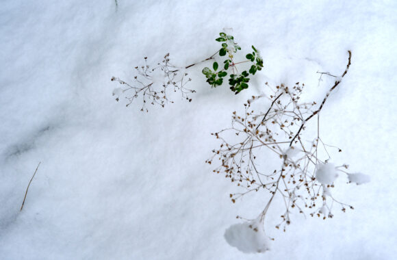 at FUKUOKA by X-T5 A17-40F1.8