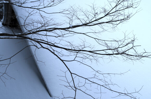 at FUKUOKA by X-T5 A17-40F1.8