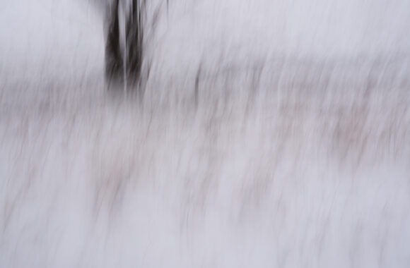 at FUKUOKA by GFX100S2 & GF35-70F4.5