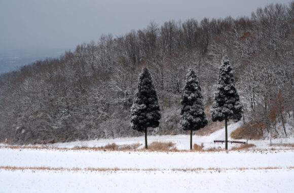 at KUMAMOTO by Z7mk2 & Z24-120F4.0S