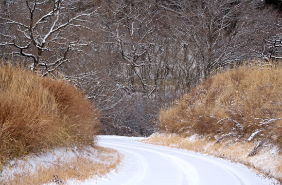 at KUMAMOTO by Z7mk2 & Z24-120F4.0S