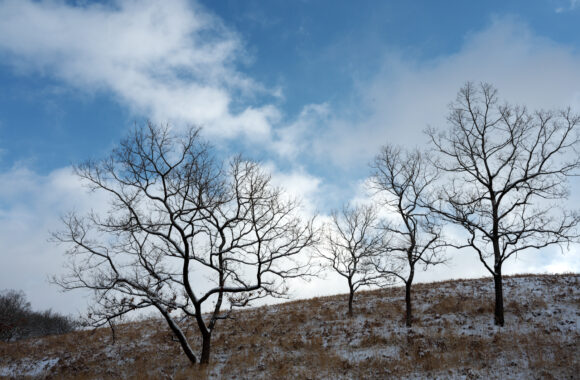 at KUMAMOTO by Z7mk2 & Z24-120F4.0S