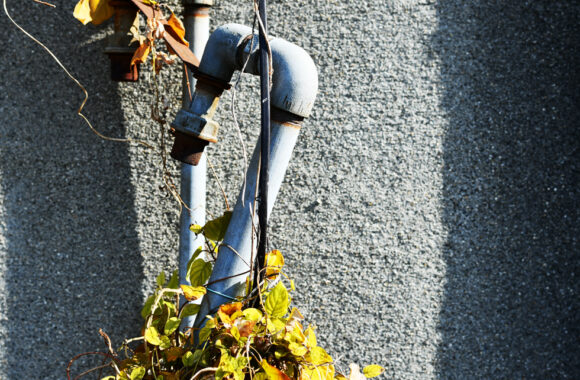 at FUKUOKA by D850 & AF-S58F1.4G