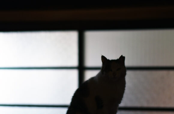 at SASEBO by D850 & AF-S58F1.4G