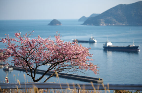 at OITA by α7C2 & FE50_150F2.0GM