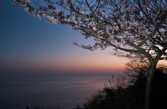 at OITA by α7R5 & A28_45F1.8