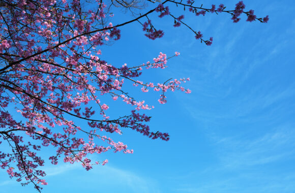 at OITA by X-T5 & XF23F1.4