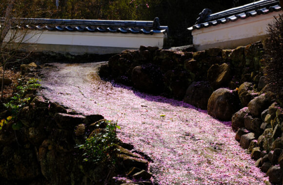 at OITA by X-T5 & XF23F1.4