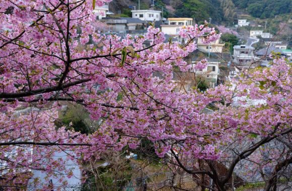 at OITA by GFX100S2 & GF35_70F4.5