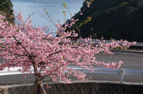 at OITA by GFX100S2 & GF35_70F4.5