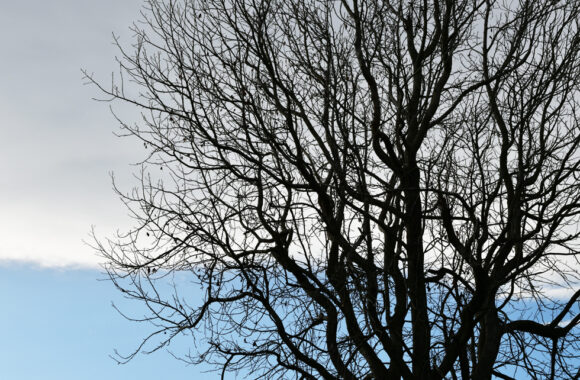 at NAGASAKI by D850 & AF-S58F1.4G