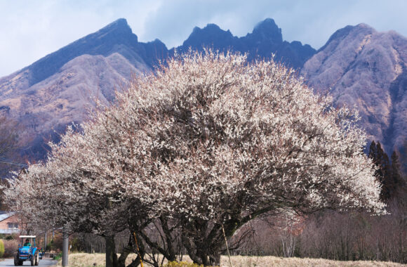 at ASO by α7c2 & FE50_150F2.0GM