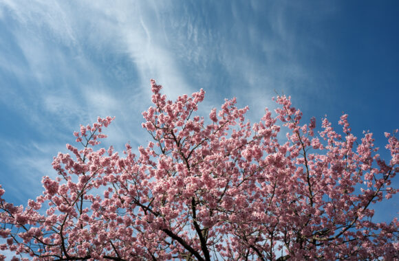 at FUKUOKA by α7C2 & A20F1.4