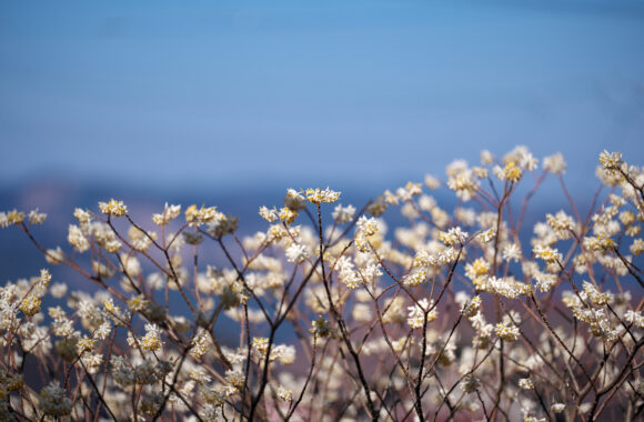 at FUKUOKA by α7c2 & FE50_150F2.0GM