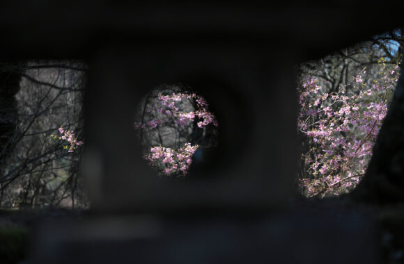 at FUKUOKA by α7c2 & FE50_150F2.0GM