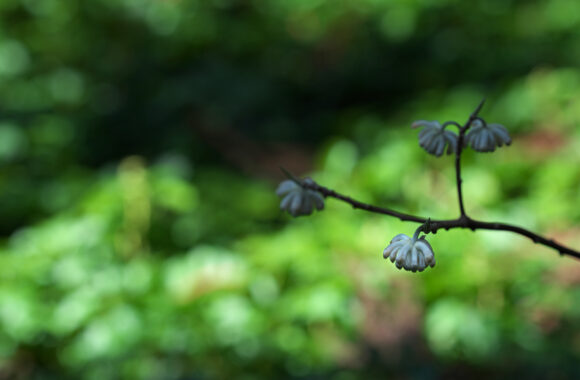 at FUKUOKA by α7c2 & FE50_150F2.0GM
