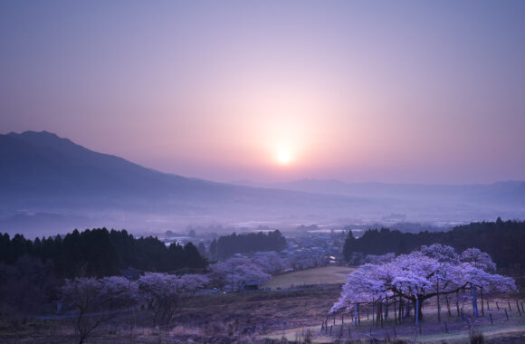 at ASO by α7c2 & T35_100F2.8