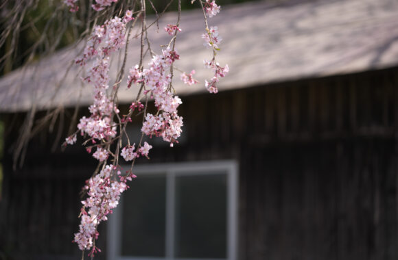 at KUMAMOTO by α7c2 & T35_100F2.8