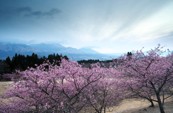 at ASO by α7R5 & A28_45F1.8