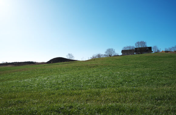 at KUMAMOTO by α7R5 &　A28_45F1.8