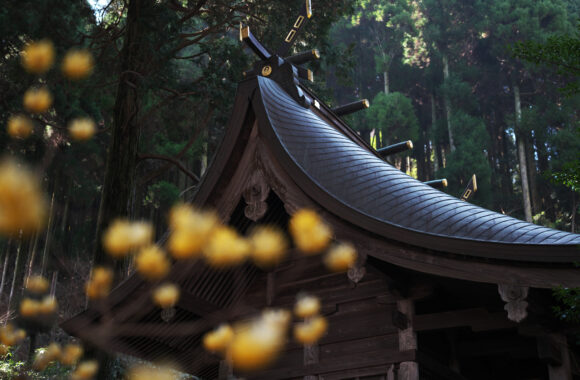 at KUMAMOTO by α7R5 & A50F1.4