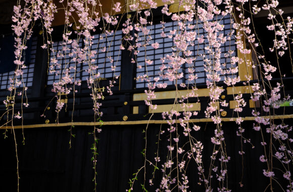 at FUKUOKA by GFX100RF