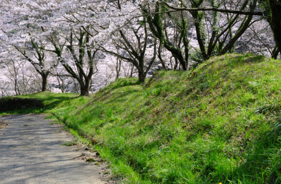 at SAGA GFX100S2 & GF35_70F4.5