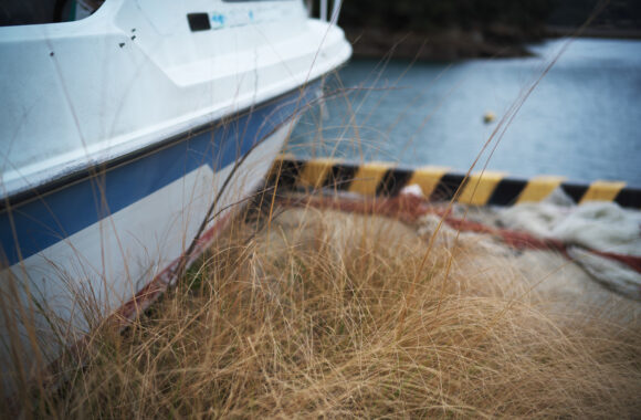at SASEBO by Z72 & VM35F1.5