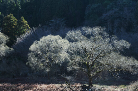 at FUKUOKA by Zf & Z24_120F4.0