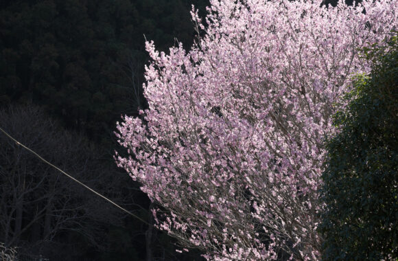 at FUKUOKA by Zf & Z24_120F4.0