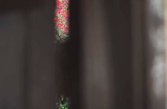 at HAKATA by D850 & AF-S58F1.4G