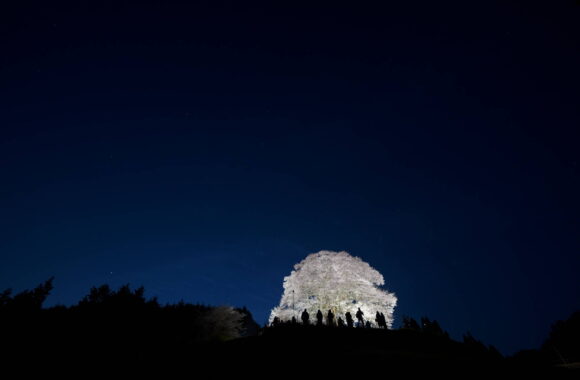 at OKAYAMA by α7c2 & FE14F1.8GM