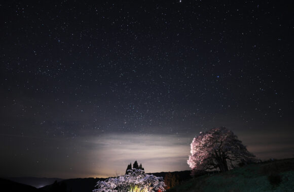 at OKAYAMA by α7c2 & FE14F1.8GM