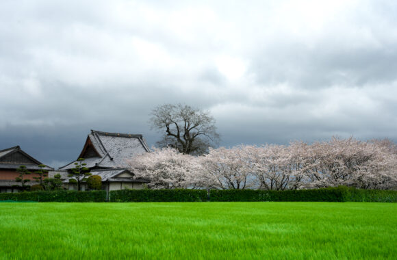 at SAGA by α7c2 & T35_100F2.8