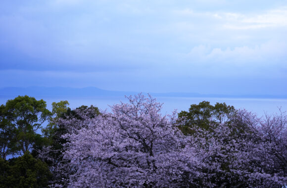 at KUMAMOTO by α7c2 & T35_100F2.8
