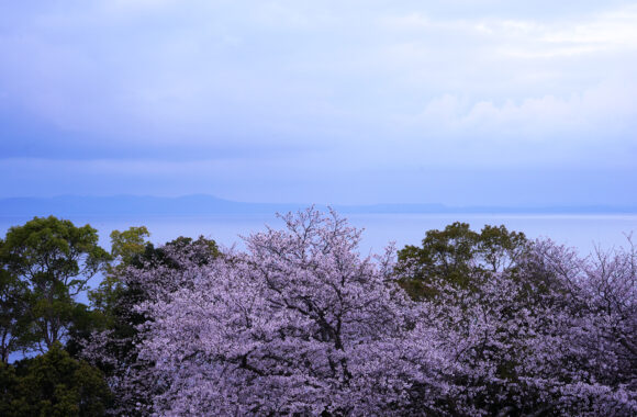 at KUMAMOTO by α7c2 & T35_100F2.8