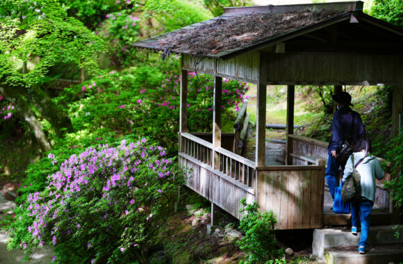 at SAGA by α7c2 & FE50_150F2.0GM