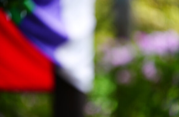 at SAGA by α7c2 & FE50_150F2.0GM