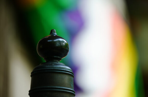 at SAGA by α7c2 & FE50_150F2.0GM