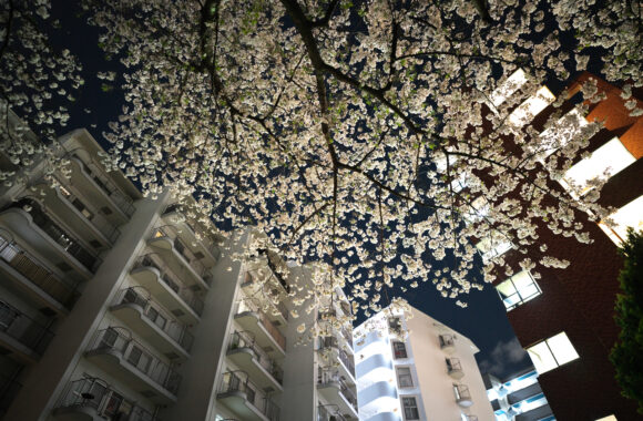 at SANPO by α7R5 & A20F1.4