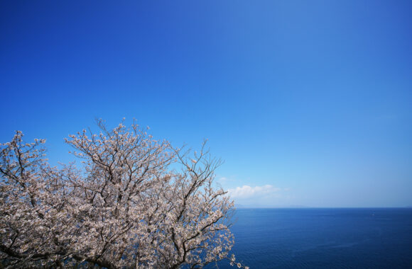 at KUMAMOTO by α7R5 & V12F5.6