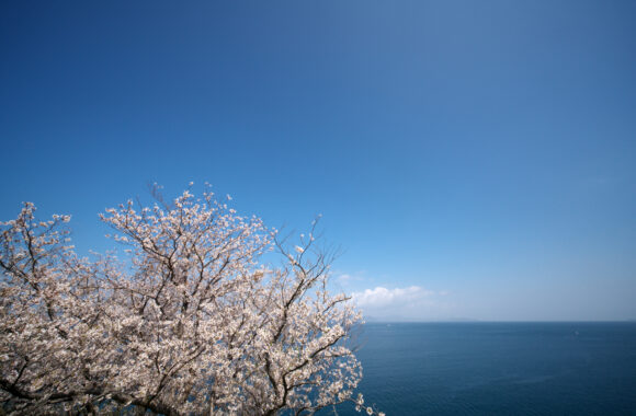 at KUMAMOTO by α7R5 & V12F5.6