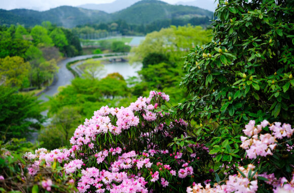 at FUKUOKA by X-T5 & XF33F1.4