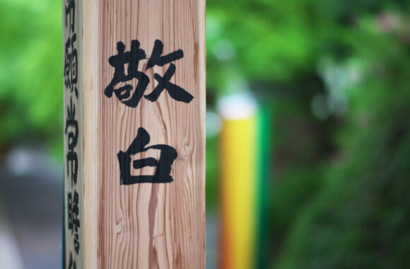 at SAGA by D850 & AF-S 58F1.4G